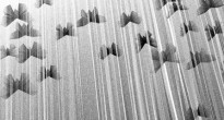 [programme de rentrée] Musique, video, poésie sonore et performances
